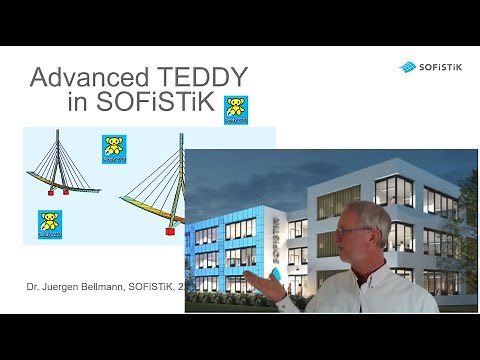 Get to know TEDDY - Part 2 - SOFiSTiK Text Editor