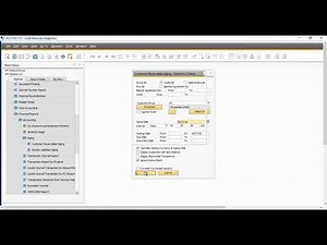 How to see all due invoices at aging date from all customers in SAP B1