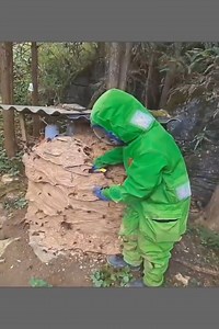 Danger is always lurking with bee catching | Funny Videos