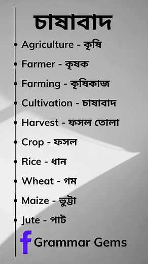 63K views · 546 reactions | "Learn new words! Part-01 #EnglishToBangla #VocabularyInBangla #LearnEnglish #BanglaTutorial #BanglaVocabulary #BanglaLearning #EducationInBangla #BanglaToEnglish #DailyVocabulary #BanglaEducation #BanglaReels #KolkataReels #Bangladesh #KolkataLife #BanglaContent #KolkataVibes #BengaliCulture #BanglaVideo #DesiReels #ViralReels #TrendingNow #ReelsChallenge #ReelsTrend #ExplorePage #ReelsOfTheDay | Grammar Gems | Facebook