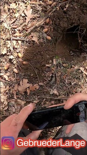 Amazing find with the #metaldetector 🤯