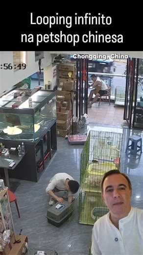 Fábio Cecílio Scarparo on Instagram: "E agora como parar esse looping infinito? A gang dos gatinhos venceu o garoto? #china #turismonachina #gladtur #netinvestasia #pets"