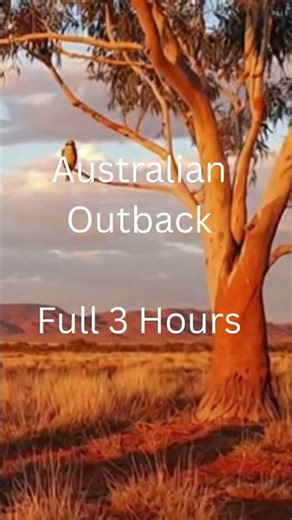 Australian Outback Night Sounds 🦘🌙 Bush Ambience with Insects, Nature for Sleep