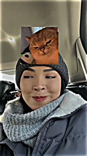 cat meme face 🤓 #shorts