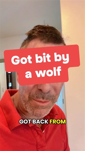 I got bit by a wolf🐺 #DadJokes #WolfBit #NoARegularOne