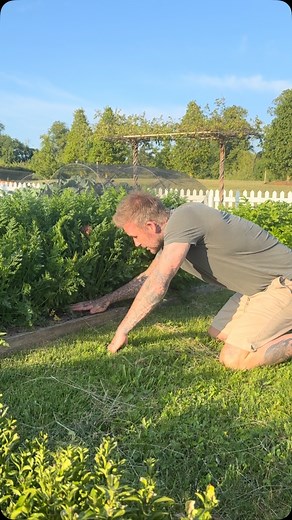 David Beckham | Exciting day today in my veggie garden , CARROTS 🥕 but not exactly what I expected but to be fair it had Lady Beckham laughing 😆... | Instagram