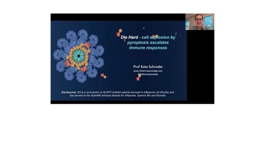 "Cell explosion by pyroptosis escalates immune responses" by Dr. Kate Schroder
