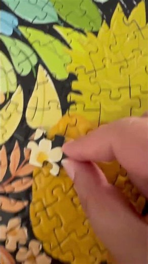 A circle of colors #color #circle #tropical #puzzle #jigsaw