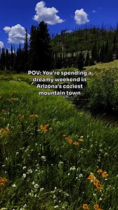 Arizona summers hit different up here. Greer is one of my favorite spots to slow down and cool off. #greeraz #ExploreArizona #whitemountainsaz | Selma_explores