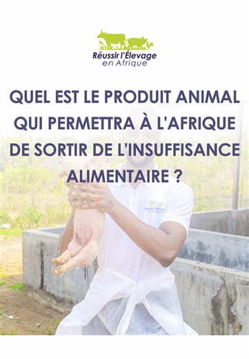 Quel est le produit animal qui permettra à l'Afrique de sortir de l'insuffisance alimentaire ? 𝗗𝗘𝗠𝗔𝗥𝗥𝗘𝗥 𝗨𝗡𝗘 𝗙𝗘𝗥𝗠𝗘 𝗣𝗢𝗥𝗖𝗜𝗡𝗘 Tu veux te lancer dans l’élevage porcin mais tu ne sais pas par où commencer ? Le e-book 𝗗𝗘𝗠𝗔𝗥𝗥𝗘𝗥 𝗨𝗡𝗘 𝗙𝗘𝗥𝗠𝗘 𝗣𝗢𝗥𝗖𝗜𝗡𝗘 est ce qu'il te faut. Je t’y explique pas à pas comment monter ta ferme porcine et faire rapidement du profit. Ce guide est clair, pratique, et va droit au but. Lien du ebook en bio #Elevage #aliment #fyp #TikTokAfri