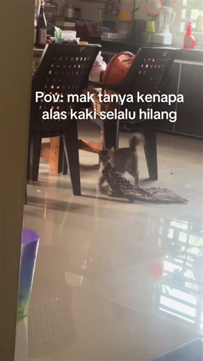 Kenapa Alas Kaki Sering Hilang? Pov: Mak Tanya Toyol atau Anak Rumah