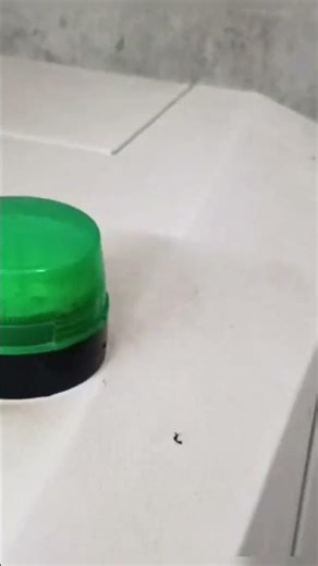 CO2 laser cutting Rdworks V8 #reels #rd #illustrator