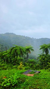 109K views · 1.6K reactions | Opcionada /Under Contract  Casa...