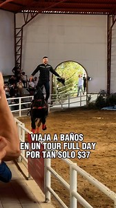 2.3K reactions · 132 shares | TOUR BAÑOS FULL DAY ANIMALPARK Y RUTA...