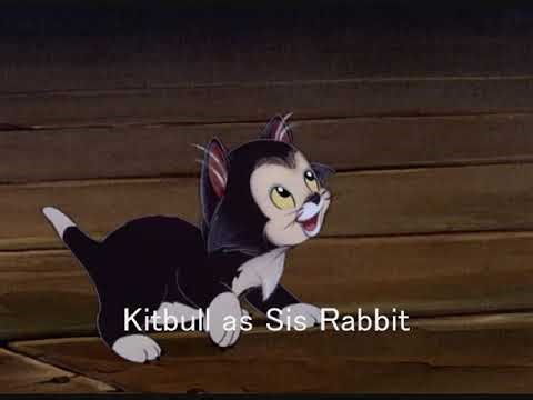 Tommy Pickles Hood Cast Video