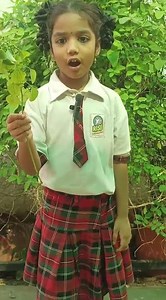 Lasya | Kids Explain Tap Root System of Plants | Rise Play School, Kakinada