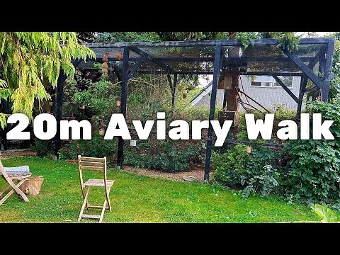 My BIG Aviary! Full Tour + Setup Info | 20m Outdoor Aviary for Finches & Softbills