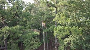 Crew Leader and Local Office Safety Coordinator Marco Vargas discusses his career with Bartlett Tree Experts. | Bartlett Tree Experts