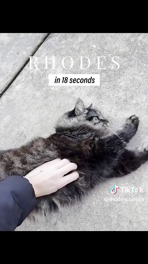 Discover Life at Rhodes University Campus