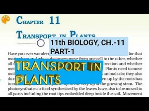 Class 11 biology, Ch.-11,Part-1||Transport in Plants||Study with Farru