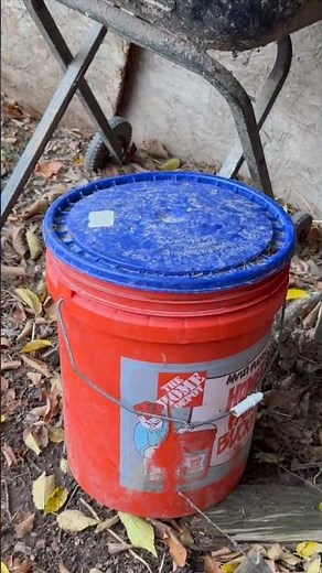 SERPIENTE GIGANTE😱😱😱 en el GALLINERO😱 Lo pasamos al HUERTO!!!