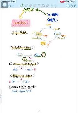 Protein Phosphorylation & GTP-GDP Cycle Made Easy | Cell Signaling #lifescience #biology #csirnet