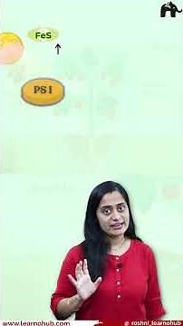 NADPH synthesis | Photosynthesis in higher plants Class 11 Bio with Roshni Mam #conceptcrystalclear