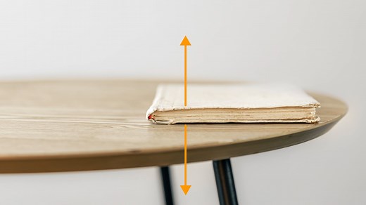 Newton's Third Law of Motion | Force & Magnitude | Britannica