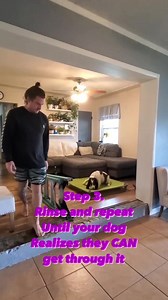 476K views · 411 reactions | When it comes to fear, anxiety, even...