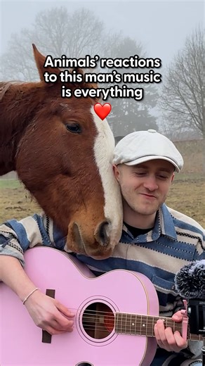 It started with cows — and now he sings love songs to so many animals 🩵 Plumes told us about the animal’s incredible reactions to his singing, and how he’s actually inspired so many people around the world to make a difference in animal welfare told us about the animal’s incredible reactions to his singing, and how he’s actually inspired so many people around the world to make a difference in animal welfare! | The Dodo