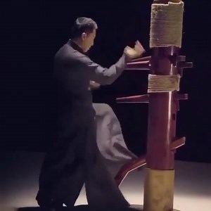 #Donnie_Yen/Wingchun Kung Fu /Shaolin Kung Fu /Chinese Shaolin Martial Arts/Yunnan Shaolin Temple China | Shaolin Kong Fu