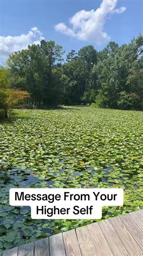 Stop scrolling. Your higher timeline is waiting. 🚀 Comment ‘I’m ready’ if you feel it. #highertimelines #spiritualtok #maincharacter #relatable