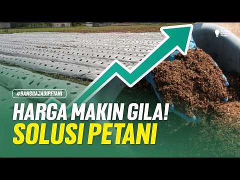 MULCH, PESTICIDE, FERTILIZER PRICES CONTINUE TO RISE‼️FARMERS' STRATEGIES TO AVOID LOSSES
