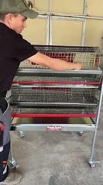 Quail cage Myshire farm edition extra-wide frame. Made in the USA