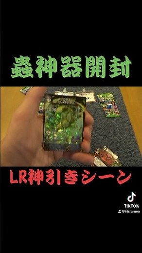 #蟲神器 #開封 #神引き #２枚箱 #ダイソー #サカダチコノハナナフシ
