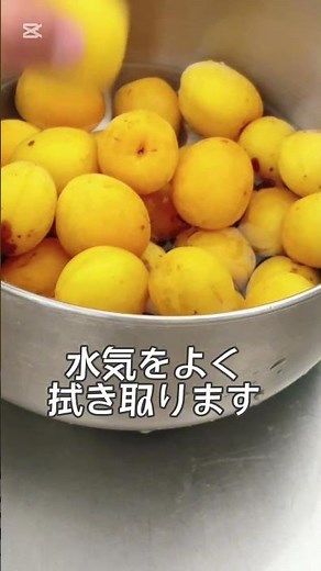 【カンタン】ジッパー付き保存袋で漬ける梅干しの作り方 ※注意点は概要欄に #管理栄養士