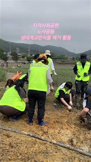 Joint Labor-Management Community Service: Removing Invasive Plant Species🌾🪏#shorts