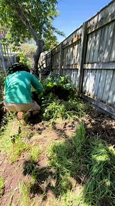 Sometimes the simplest of tools do the best work in the Kāpiti Coast 🤙 Stick around for the before and after… and follow along if you love a good transformation. 💚 | Patchwork Outdoor Services