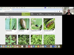 How to Use iNaturalist with Murray Fisher