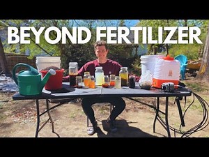 The Natural Gardener's Guide to Homemade Fertilizer Teas and Ferments