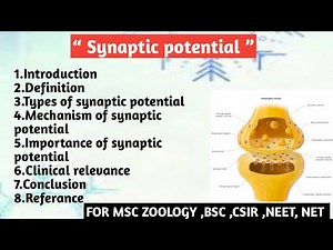 Synaptic potential | Types | Mechanism | Importance of synaptic potential | Clinical relevance