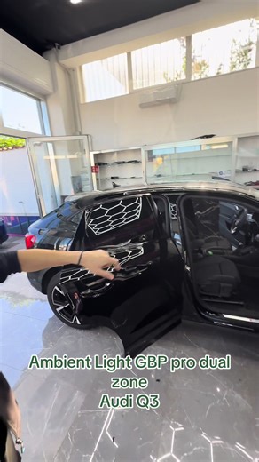 #gbpPROdualzone#audi#Q3