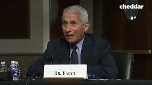 38K views · 240 reactions | Dr. Fauci pushes back against Sen. Paul's comments on New York's response to the coronavirus: "You misconstrued that, Senator. And you've done that repetitively in the past." | cheddar news | Facebook