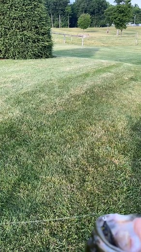 1.2K views | 2 pounder with the Minu Filthy Frog CHOKED!!! #fish #fishing #bassfish #hunt #bassfishing #hunting # #pennsylvania #bass | Aldair Ferrebus | Facebook