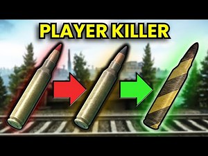 This 5.56 Ammo Combo SLAPS In PvP!