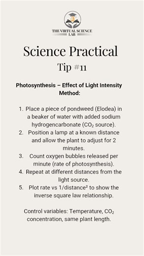 GCSE Science core practical revision. Make sure you share with your friends and revise all the core practicals in preparation for your exams 💙 #teacher #student #edugram #school #science #gcsescience | The Virtual Science Lab