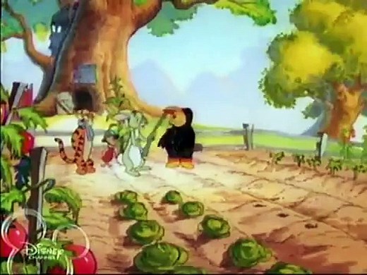 Disney Cartoons Pooh Bear Caws and Effects
