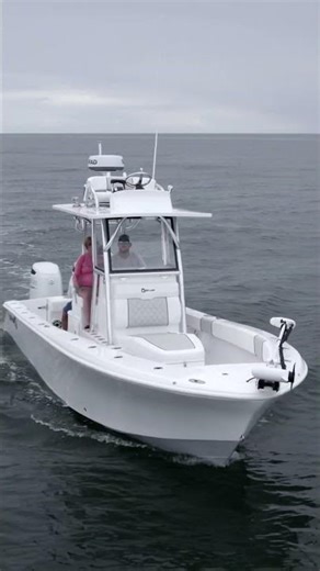 Have you heard of the SeaLion 27TE?