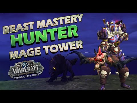 Beast Mastery Hunter | Mage Tower | (Dragonflight 10.1.5)