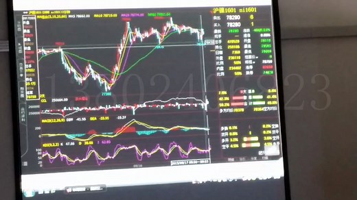 孟德稳一个月训练营：现场教学视频